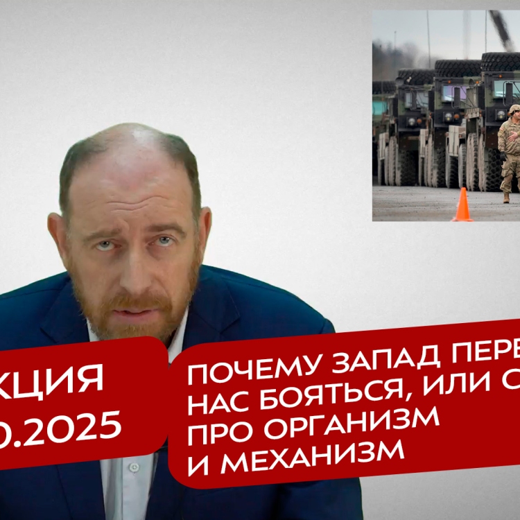 Реакция 2.10.2025 Почему запад перестал нас бояться, или снова про организм и механизм