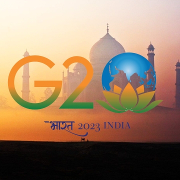 Про Декларацию G-20. Большие и маленькие радости глобалистов. Часть 7