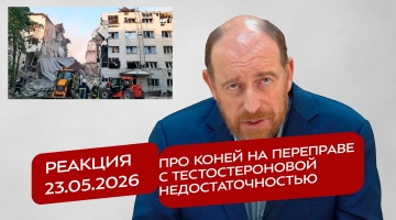 Реакция 23.05.2026 Про коней на переправе с тестостероновой недостаточностью