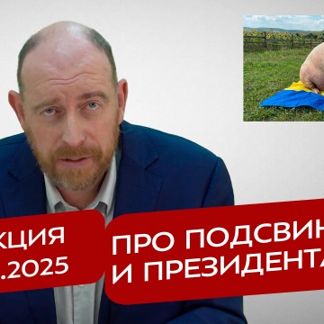 Реакция 19.12.2025 Про подсвинков и президента
