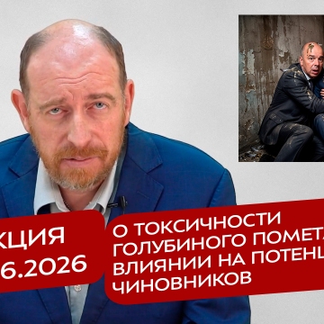 Реакция 9.06.2026 О токсичности голубиного помета и его влиянии на потенцию чиновников