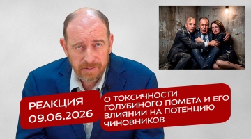 Реакция 9.06.2026 О токсичности голубиного помета и его влиянии на потенцию чиновников
