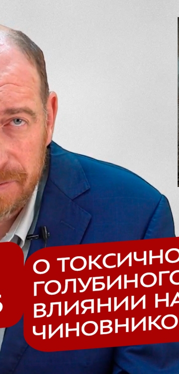 Реакция 9.06.2026 О токсичности голубиного помета и его влиянии на потенцию чиновников