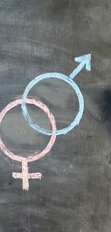 Диверсия в Постановлении Госдумы о демографической политике: чиновники и депутаты поддержали возможность секспросвета с дошкольного возраста