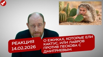 Реакция 14.02.2026 О ежиках, которые ели кактус, или Лавров против Пескова с Дмитриевым