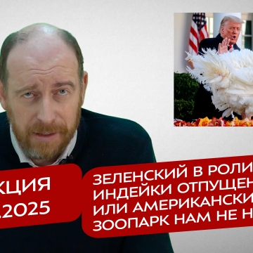 Реакция 25.11.2025 Зеленский в роли индейки отпущения, или американский зоопарк нам не нужен
